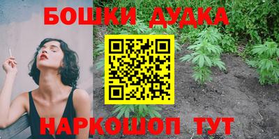 крисы Заводоуковск