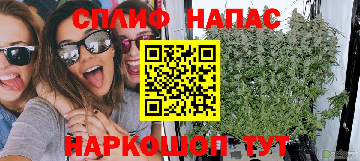 Бошки марихуана сатива  Вход с VPN  МАРИХУАНА OG Kush  МАРИХУАНА семена  Каннабис Ganja  Медногорск 